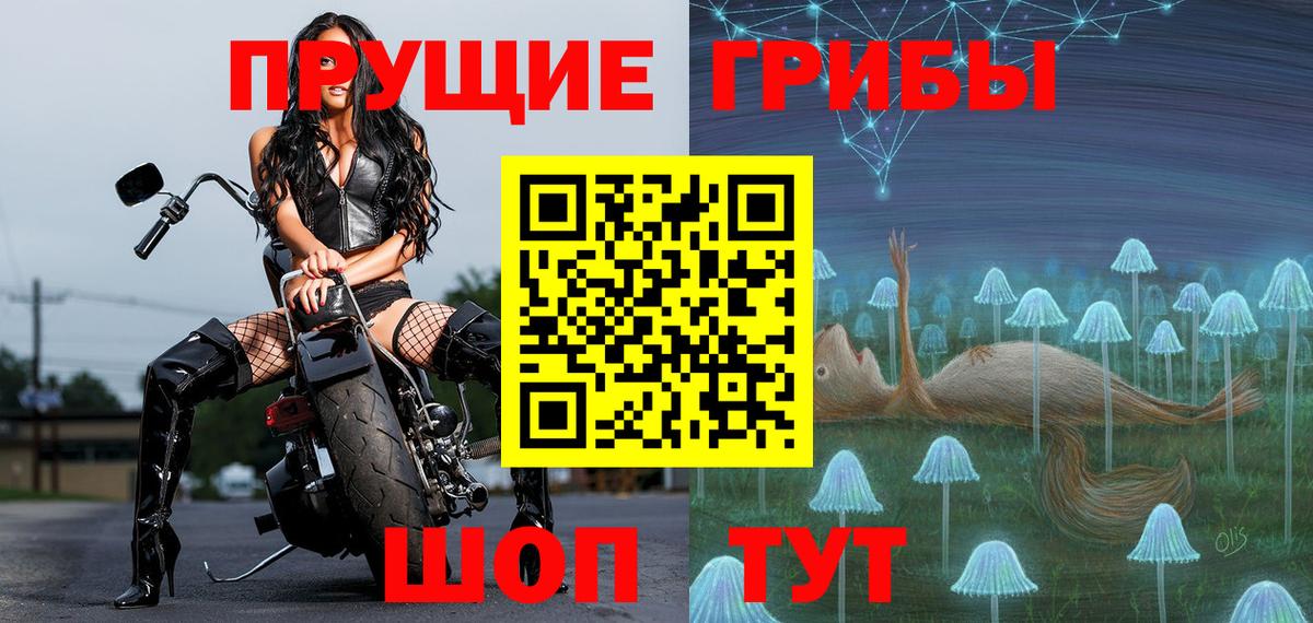 Псилоцибиновые грибы мицелий  продажа наркотиков  Грязи  Псилоцибиновые грибы Psilocybine cubensis  Вход с VPN 