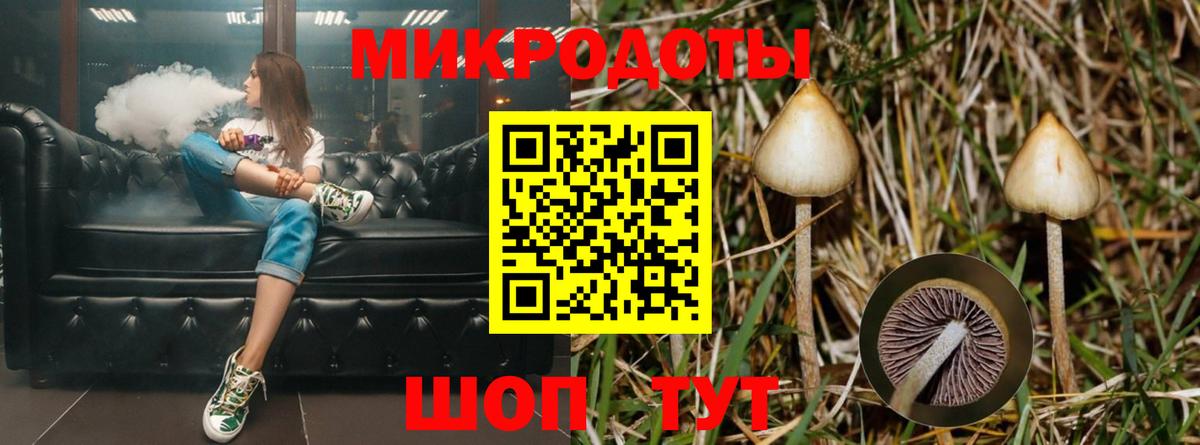 Галлюциногенные грибы Psilocybe Грязи